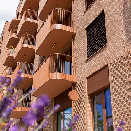 Modern Oasis In Bratislava's Heaven Daire